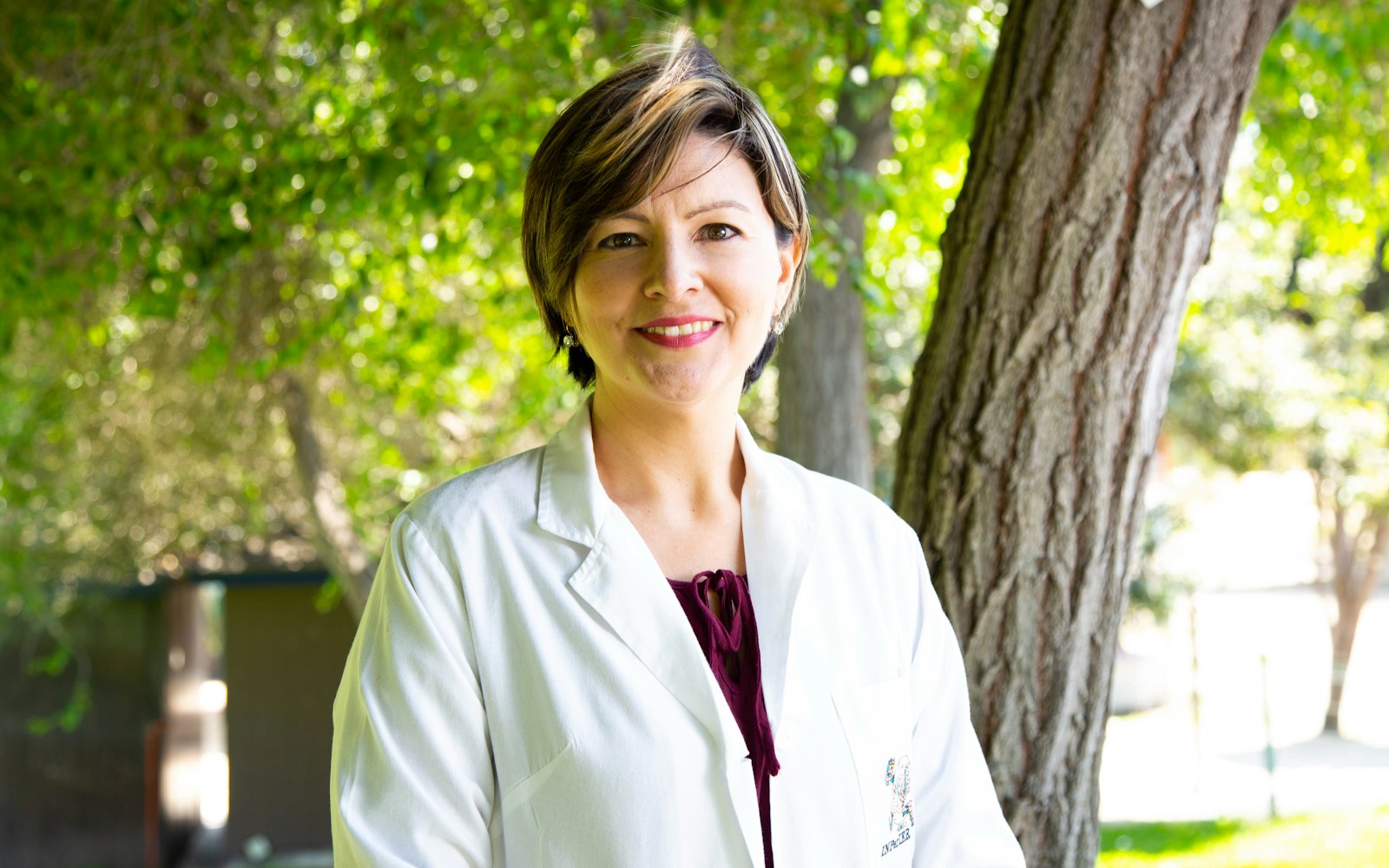 Osteopath in consultation